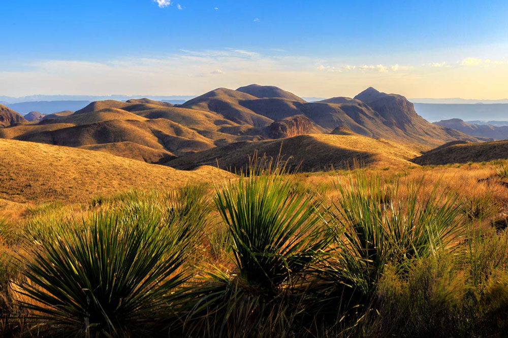 Big Bend Roadtrip